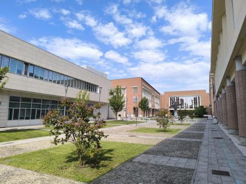 Eletti i nuovi Presidenti di Corso di Studio del DIEF